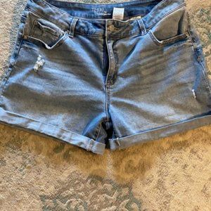 Time and tru shorts